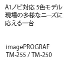 A1mrΉ 5Ff ̑lȃj[Yɉ imagePROGRAF TM-255 / TM-250
