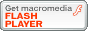 Flash Player�̃_�E�����[�h�͂����炩��
